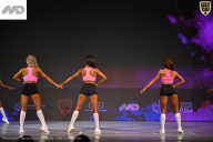 Кубок Ивановской области по бодибилдингу - 2026