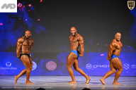 Кубок Ивановской области по бодибилдингу - 2026