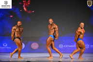 Кубок Ивановской области по бодибилдингу - 2026