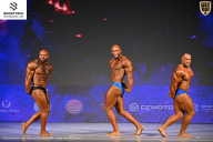 Кубок Ивановской области по бодибилдингу - 2026