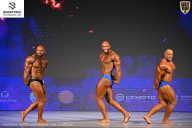 Кубок Ивановской области по бодибилдингу - 2026