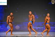 Кубок Ивановской области по бодибилдингу - 2026