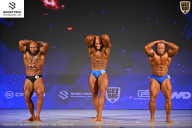 Кубок Ивановской области по бодибилдингу - 2026