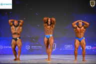 Кубок Ивановской области по бодибилдингу - 2026