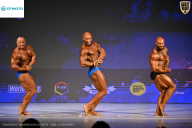 Кубок Ивановской области по бодибилдингу - 2026