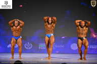 Кубок Ивановской области по бодибилдингу - 2026