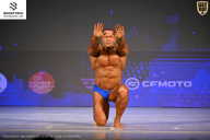 Кубок Ивановской области по бодибилдингу - 2026