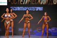 Кубок Ивановской области по бодибилдингу - 2026