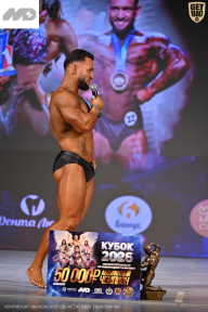 Кубок Ивановской области по бодибилдингу - 2026