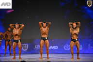 Кубок Ивановской области по бодибилдингу - 2026