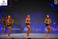 Кубок Ивановской области по бодибилдингу - 2026