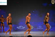 Кубок Ивановской области по бодибилдингу - 2026