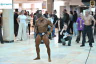 Кубок Ивановской области по бодибилдингу - 2026