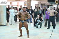 Кубок Ивановской области по бодибилдингу - 2026