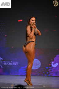 Кубок Ивановской области по бодибилдингу - 2026