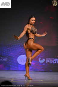 Кубок Ивановской области по бодибилдингу - 2026