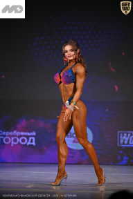 Кубок Ивановской области по бодибилдингу - 2026