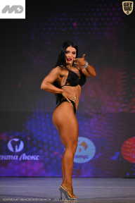 Кубок Ивановской области по бодибилдингу - 2026