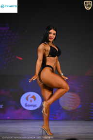 Кубок Ивановской области по бодибилдингу - 2026