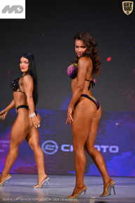 Кубок Ивановской области по бодибилдингу - 2026