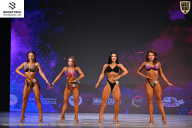 Кубок Ивановской области по бодибилдингу - 2026