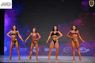 Кубок Ивановской области по бодибилдингу - 2026