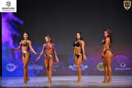 Кубок Ивановской области по бодибилдингу - 2026