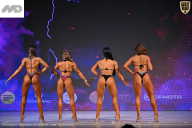 Кубок Ивановской области по бодибилдингу - 2026