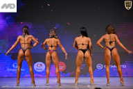 Кубок Ивановской области по бодибилдингу - 2026