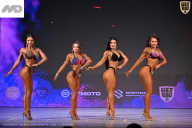 Кубок Ивановской области по бодибилдингу - 2026