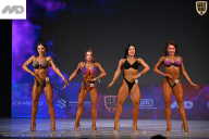 Кубок Ивановской области по бодибилдингу - 2026