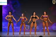 Кубок Ивановской области по бодибилдингу - 2026