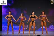 Кубок Ивановской области по бодибилдингу - 2026