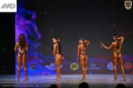 Кубок Ивановской области по бодибилдингу - 2026