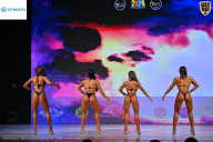 Кубок Ивановской области по бодибилдингу - 2026