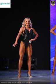 Кубок Ивановской области по бодибилдингу - 2026