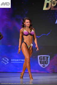 Кубок Ивановской области по бодибилдингу - 2026