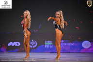 Кубок Ивановской области по бодибилдингу - 2026