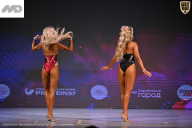 Кубок Ивановской области по бодибилдингу - 2026