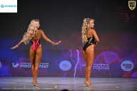 Кубок Ивановской области по бодибилдингу - 2026