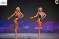 Кубок Ивановской области по бодибилдингу - 2026