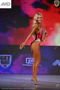 Кубок Ивановской области по бодибилдингу - 2026