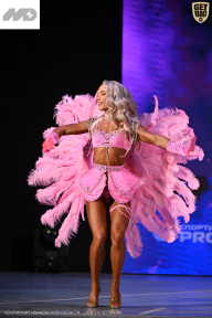 Кубок Ивановской области по бодибилдингу - 2026