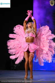 Кубок Ивановской области по бодибилдингу - 2026