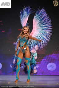 Кубок Ивановской области по бодибилдингу - 2026