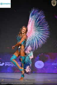 Кубок Ивановской области по бодибилдингу - 2026