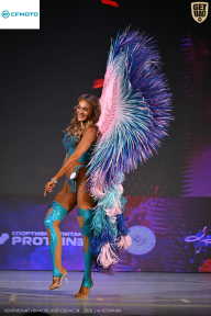 Кубок Ивановской области по бодибилдингу - 2026