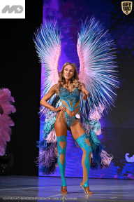 Кубок Ивановской области по бодибилдингу - 2026