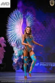 Кубок Ивановской области по бодибилдингу - 2026