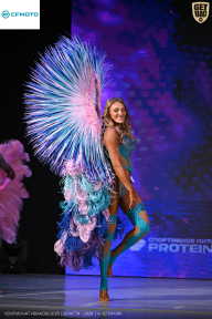 Кубок Ивановской области по бодибилдингу - 2026